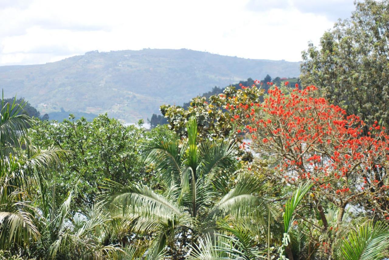 Crater Bay Cottages Kabale 외부 사진
