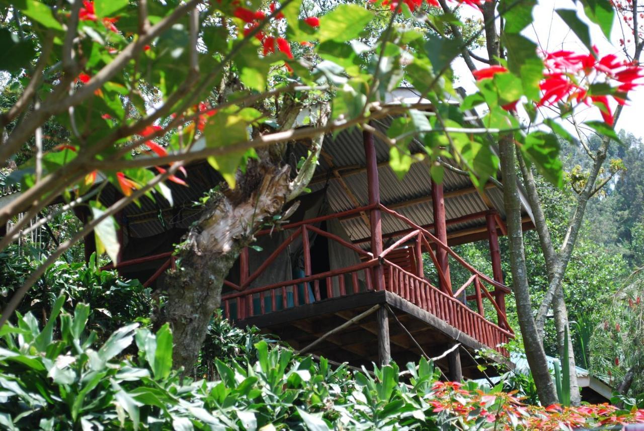 Crater Bay Cottages Kabale 외부 사진